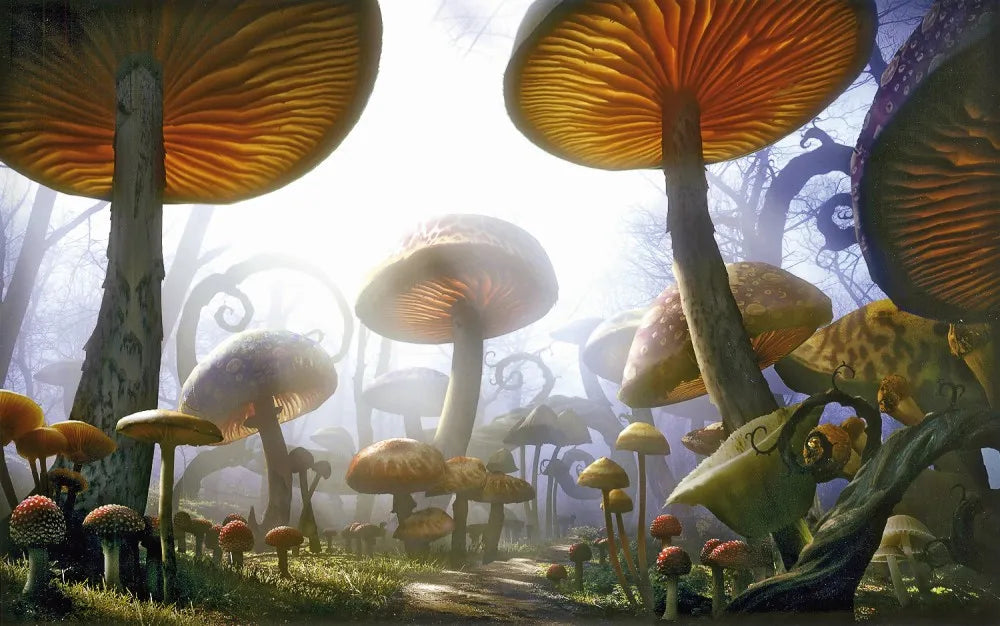 Alice in Wonderland