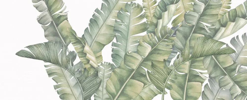 Palm leaves