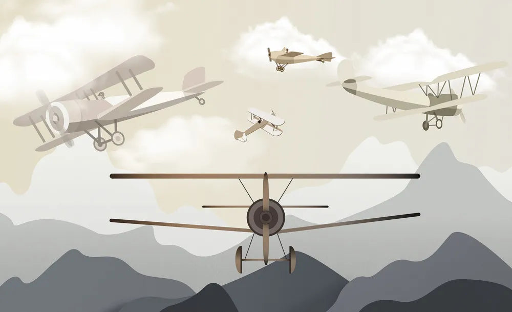 Aircraft