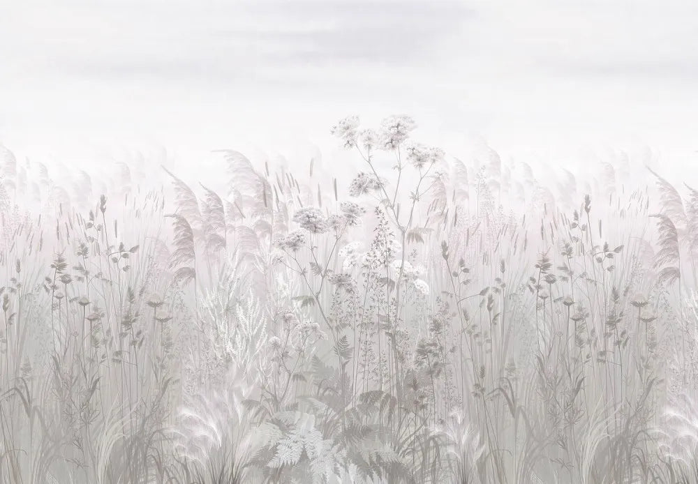 Evening wildflowers