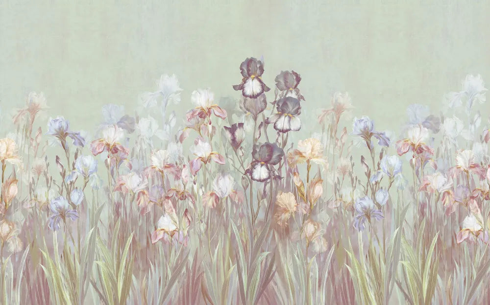 Colorful wildflowers
