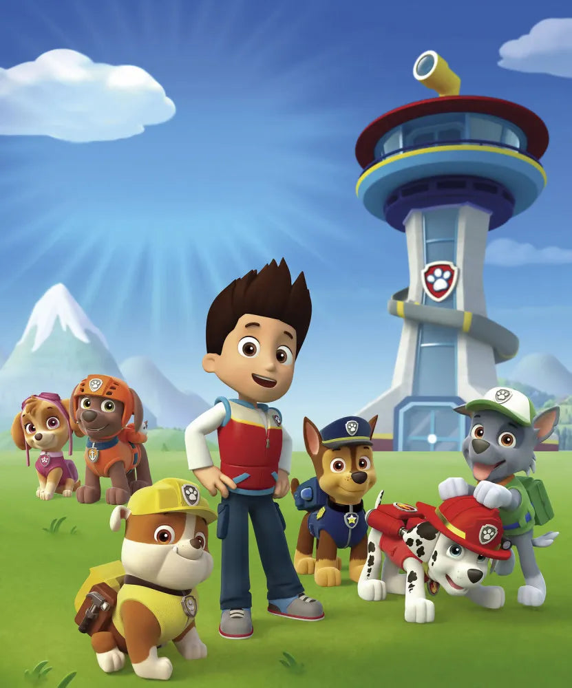 Paw patrol in a clearing