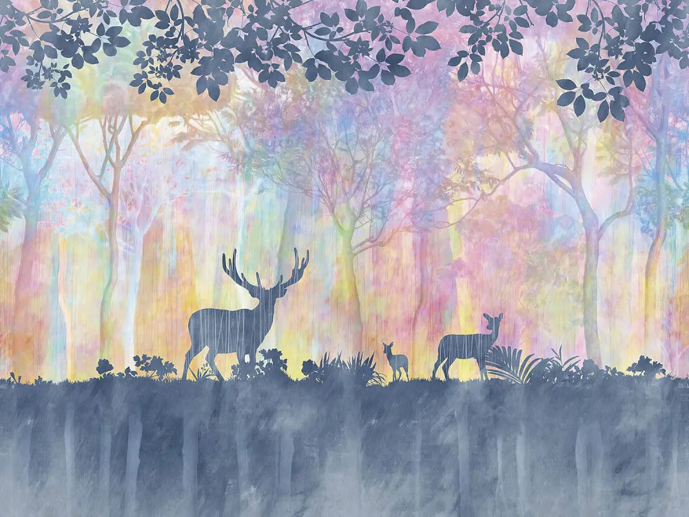 Scenic rainbow forest