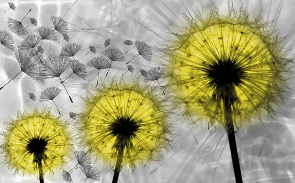Dandelions composition