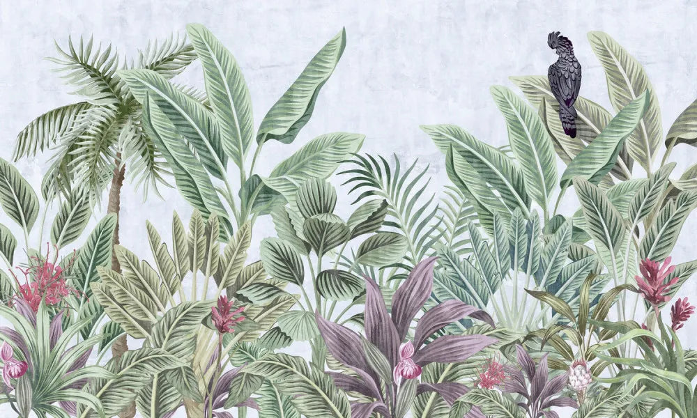 Tropical plants