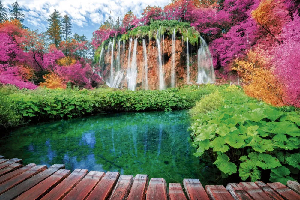 Picturesque pond in the Park