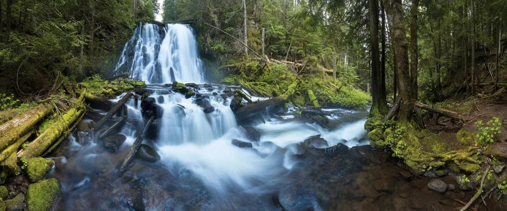 Waterfall in the forest