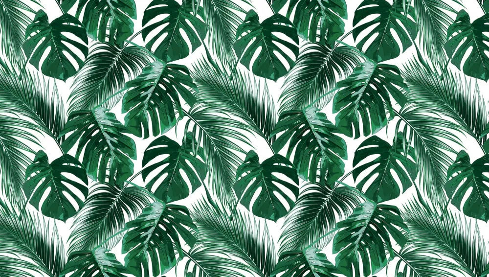Lush leaves on a white background