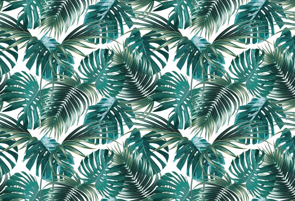 Green monstera leaves