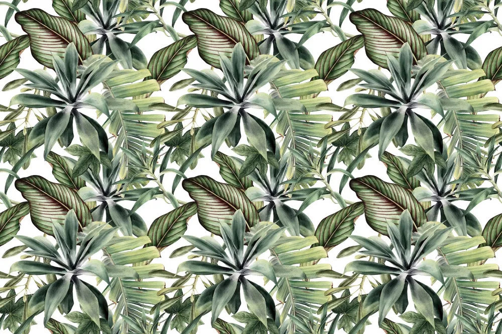 Young tropical leaves
