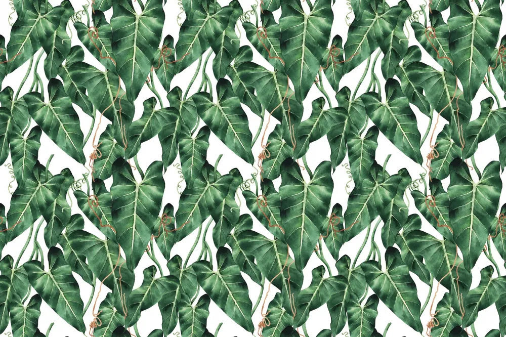 Exotic thicket