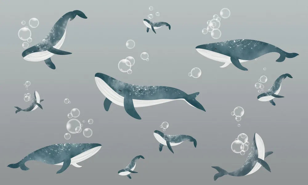 Whales under water