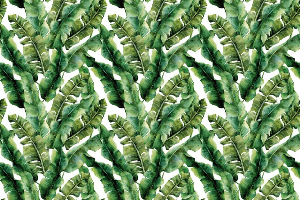 Banana leaves pattern