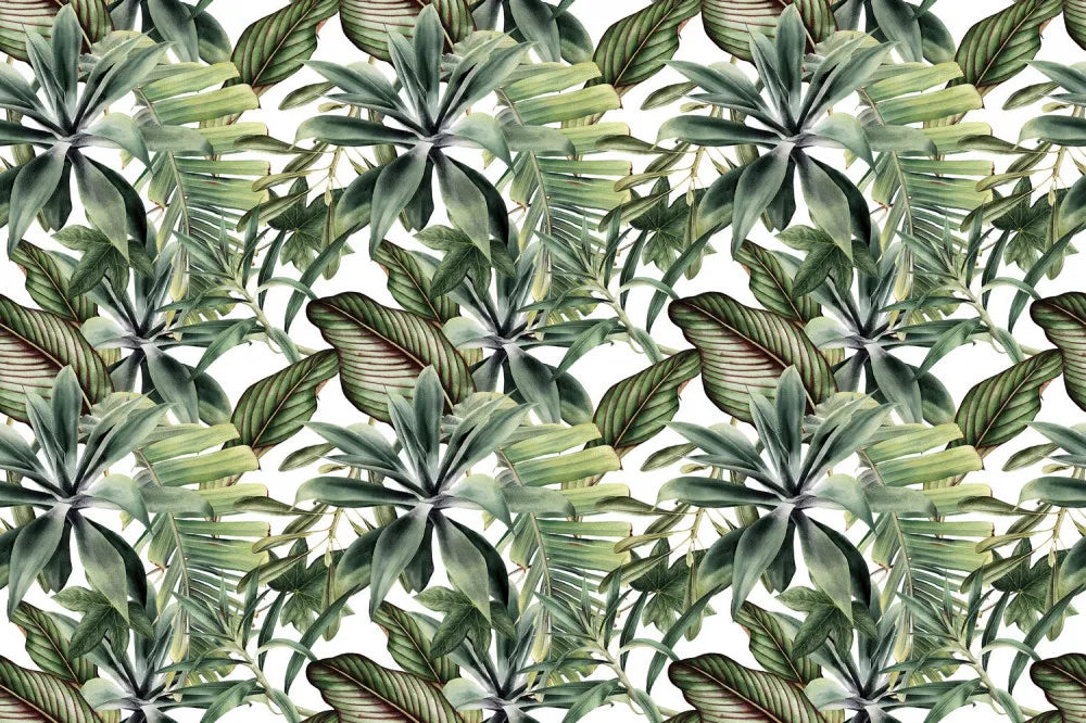 Tropical green leaves