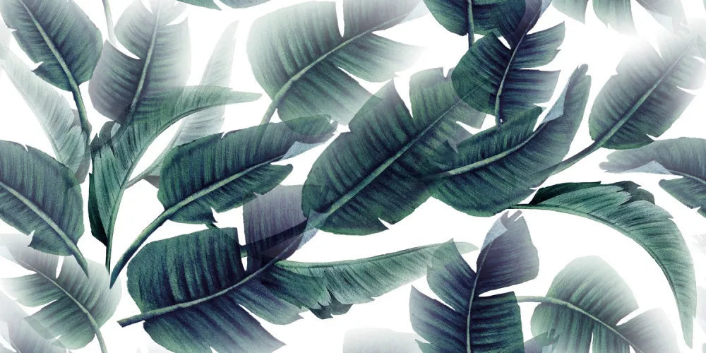 Green leaves on white background