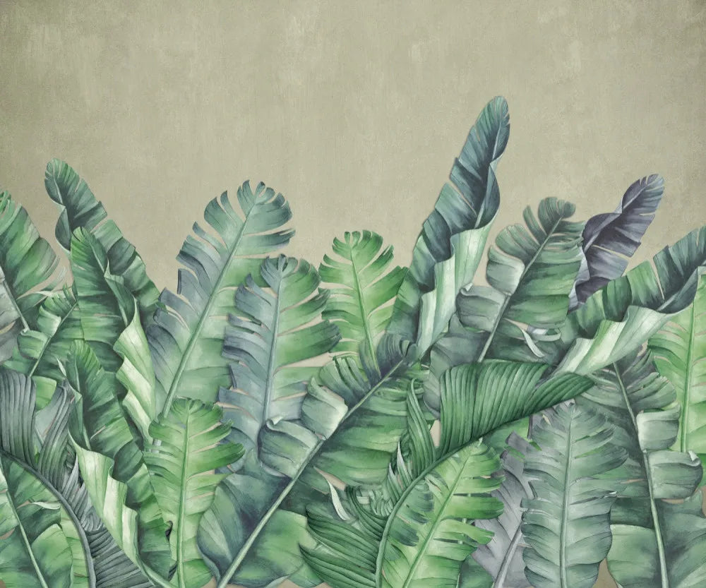 Banana plantation