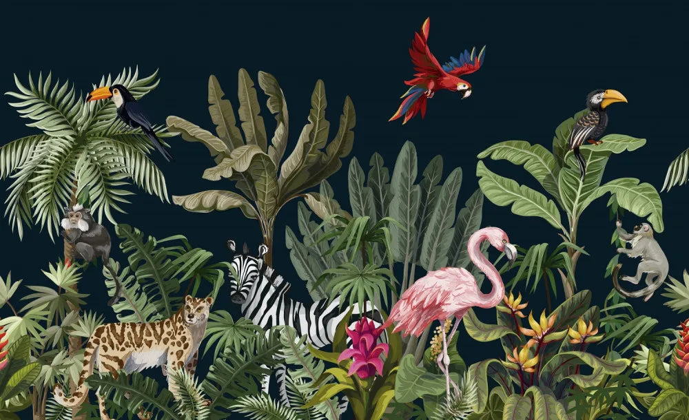 The richness of the tropics