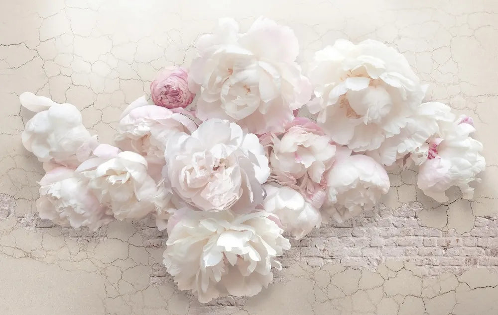 Peonies 3D