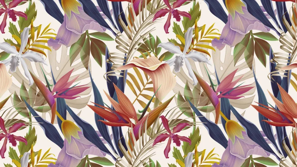 The brightness of the tropics