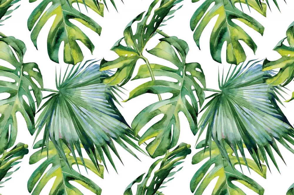 Large tropical leaves