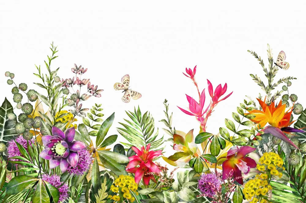 Colorful garden flowers