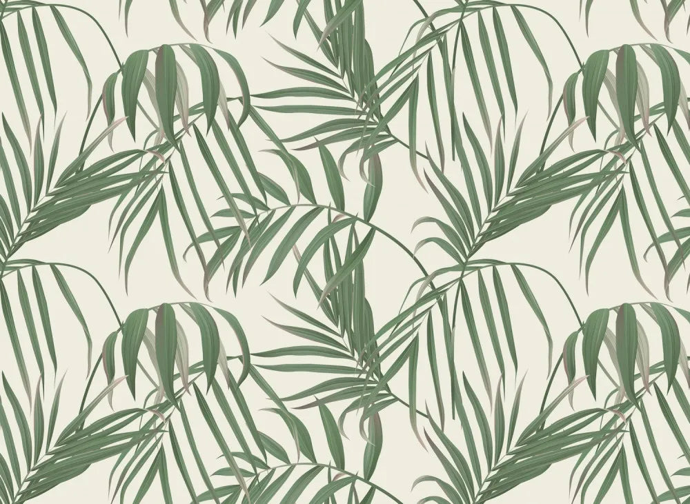 Tender palm leaves