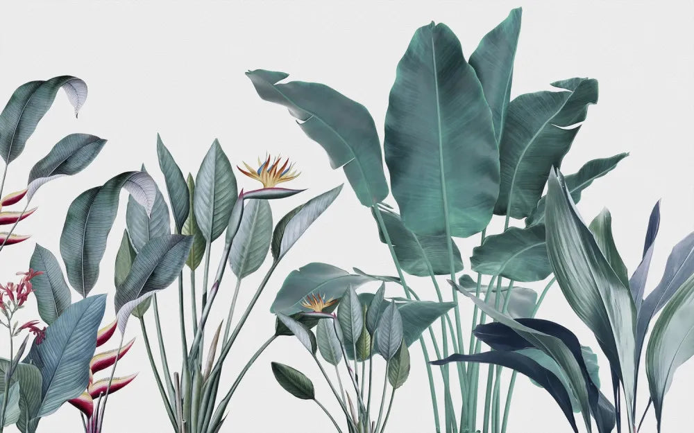 Tropical foliage garden