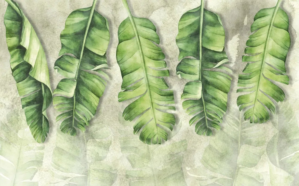Young banana leaves