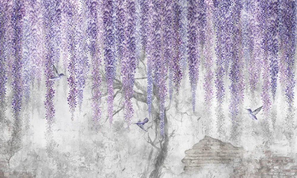 Blooming wisteria