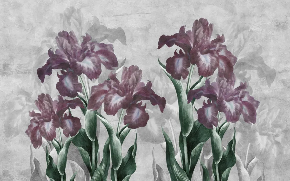 Irises