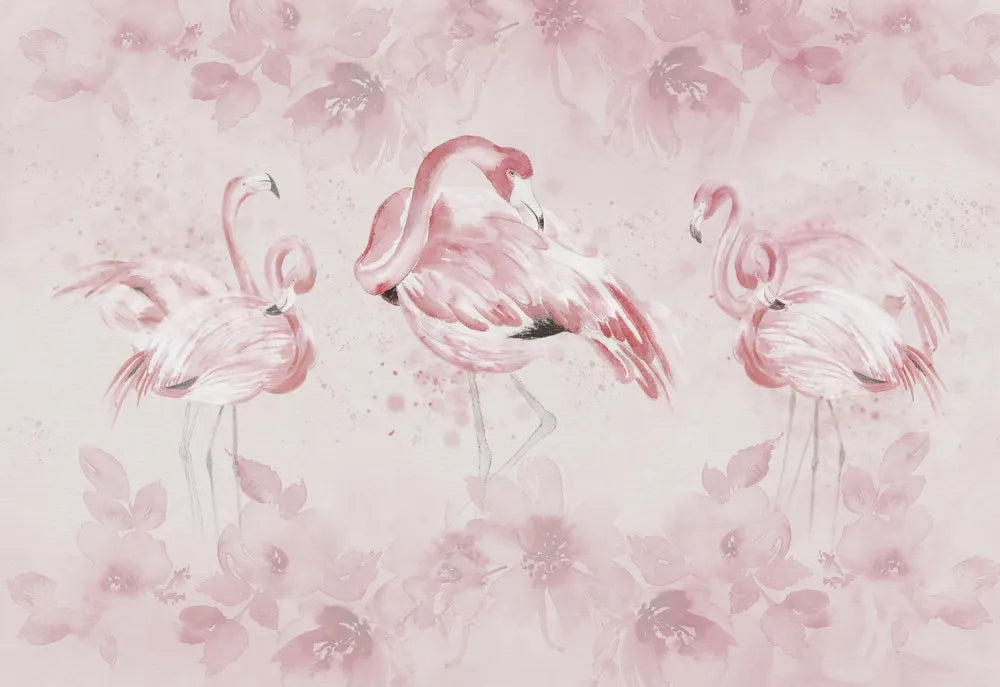 Flamingo beauty
