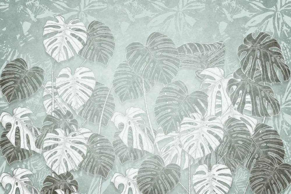 Monstera leaf drawing