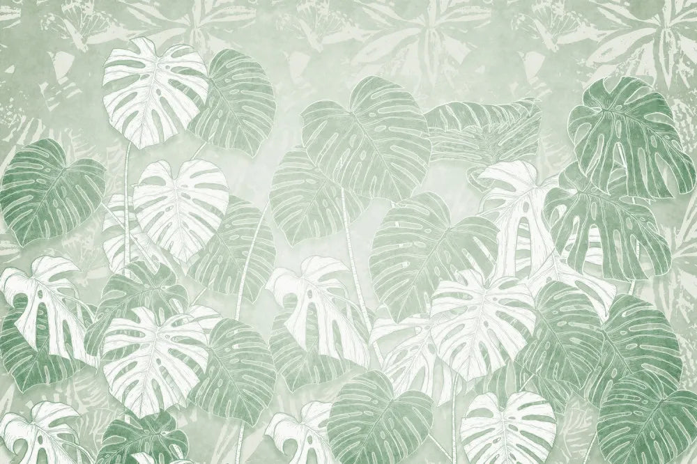 Green monstera foliage