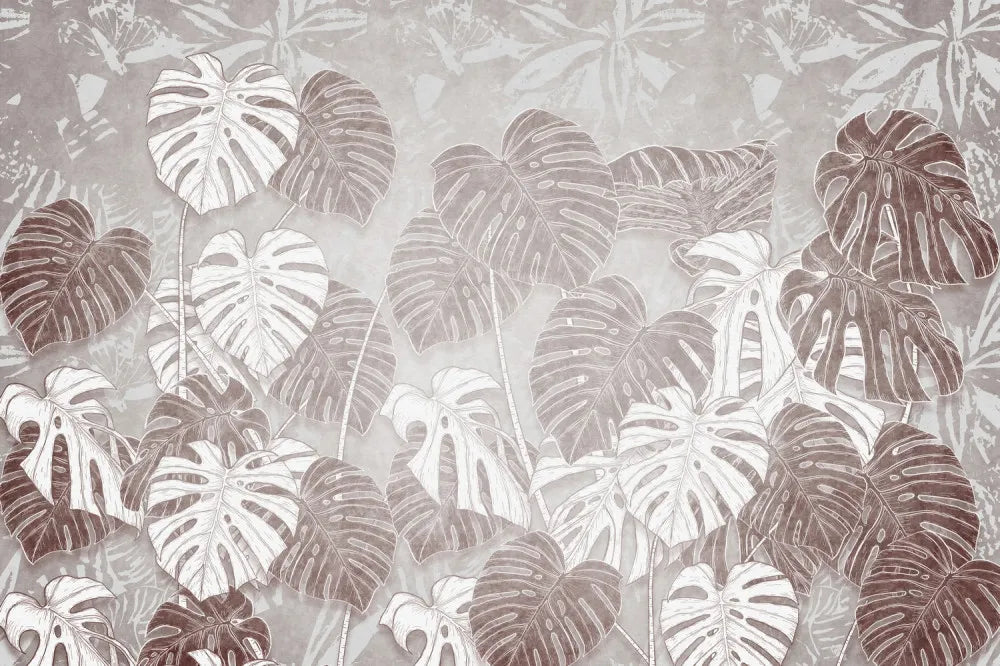 Tropical monstera leaves