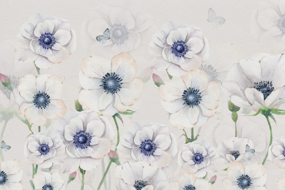 White anemones