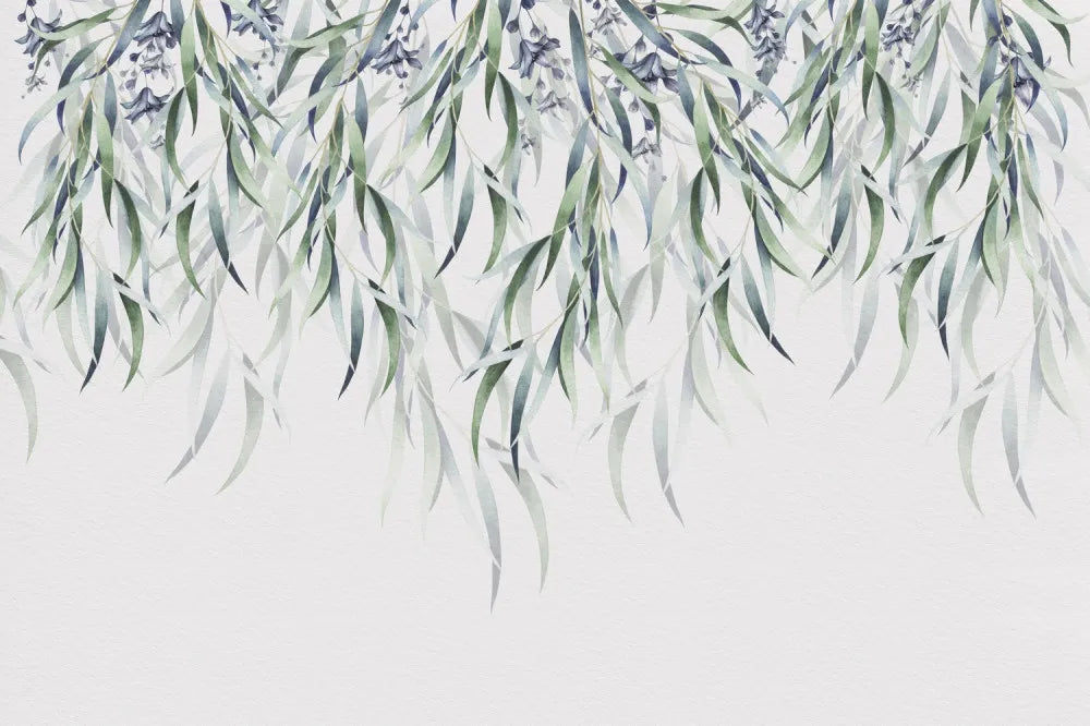 Willow branches
