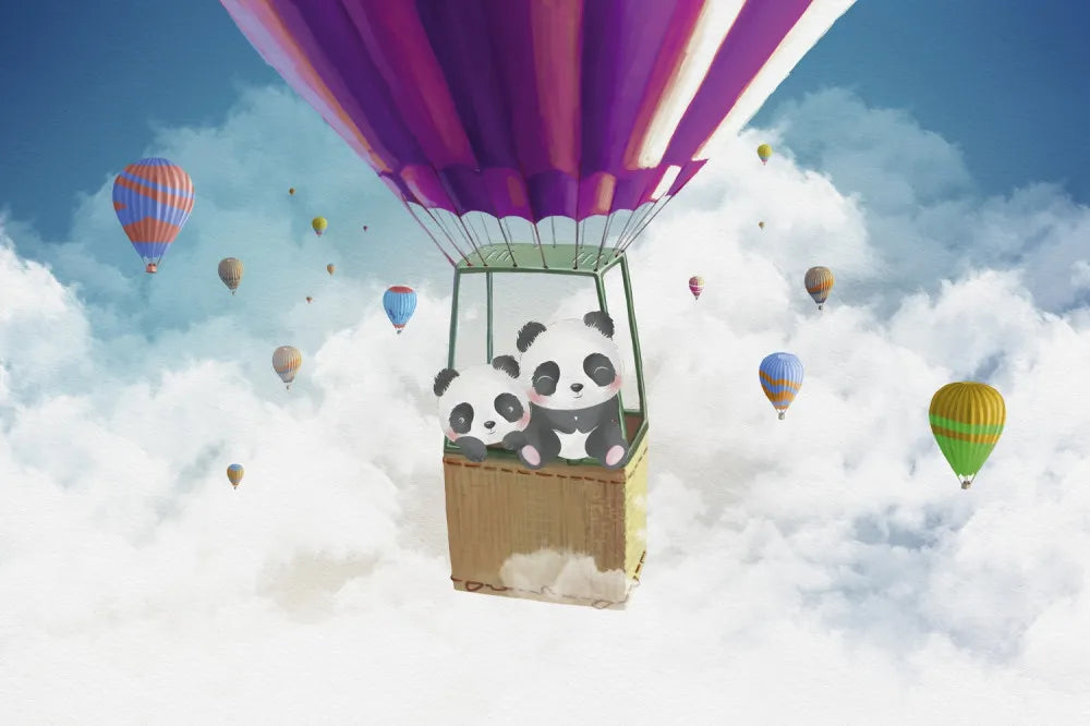 Hot air balloon flight