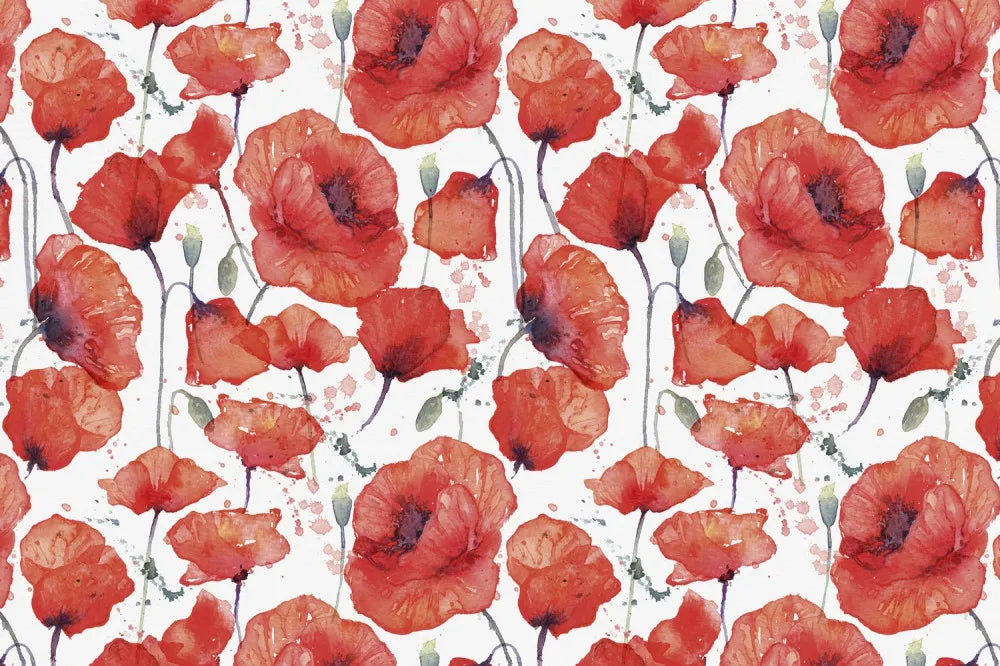 Beautiful poppies