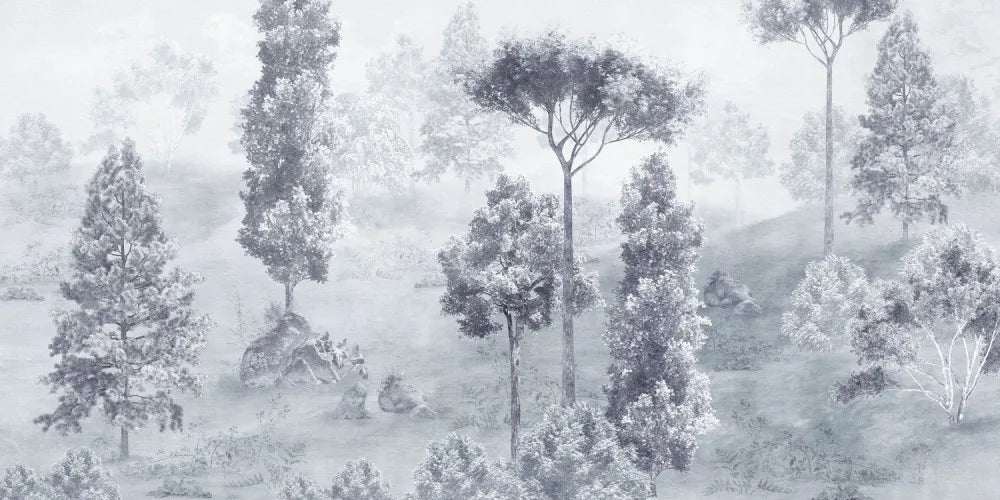 Beautiful forest