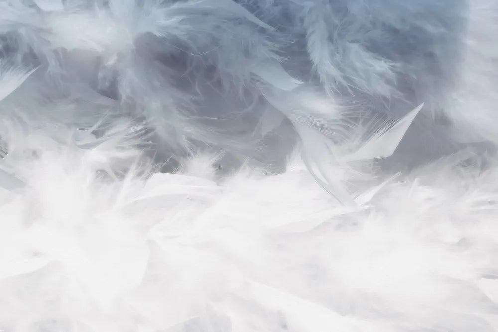 Light feathers
