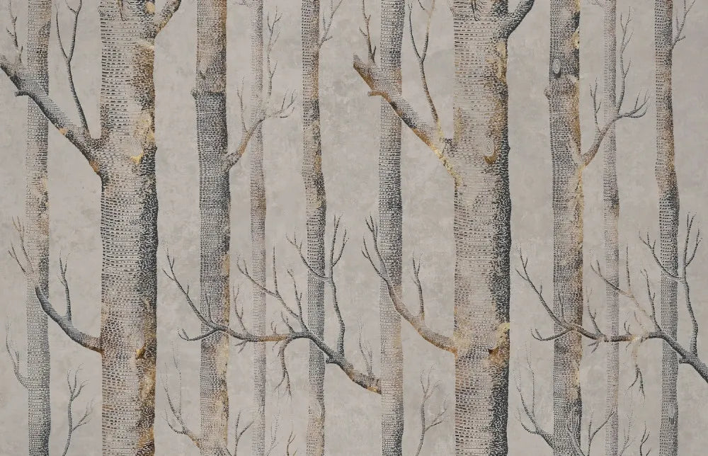 Scandinavian forest