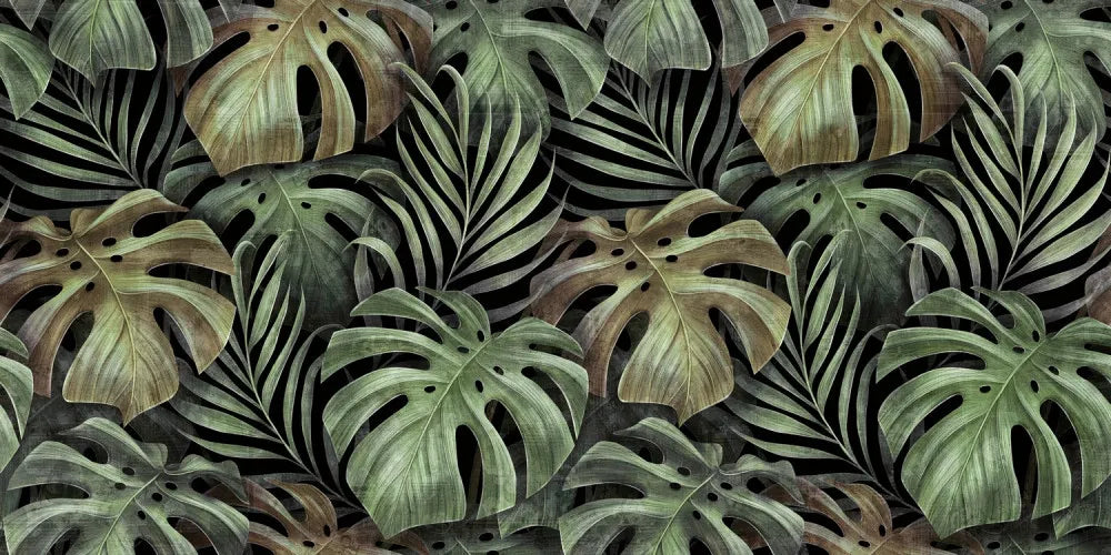 Tropical plant leaves