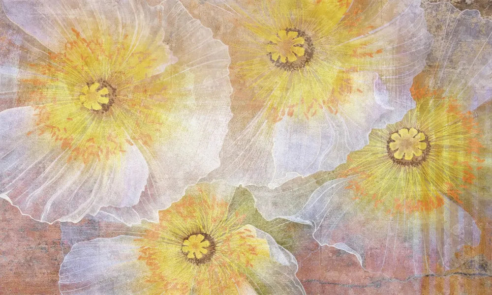 Meadow poppies