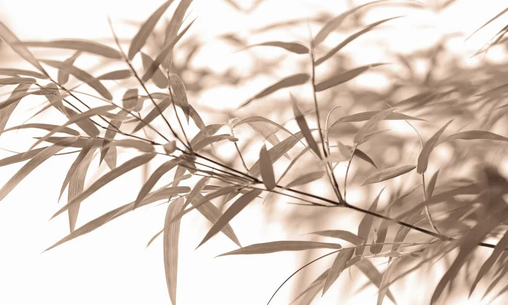 Bamboo leaves