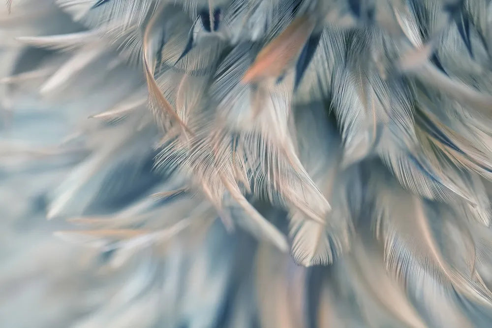 Blue air feathers