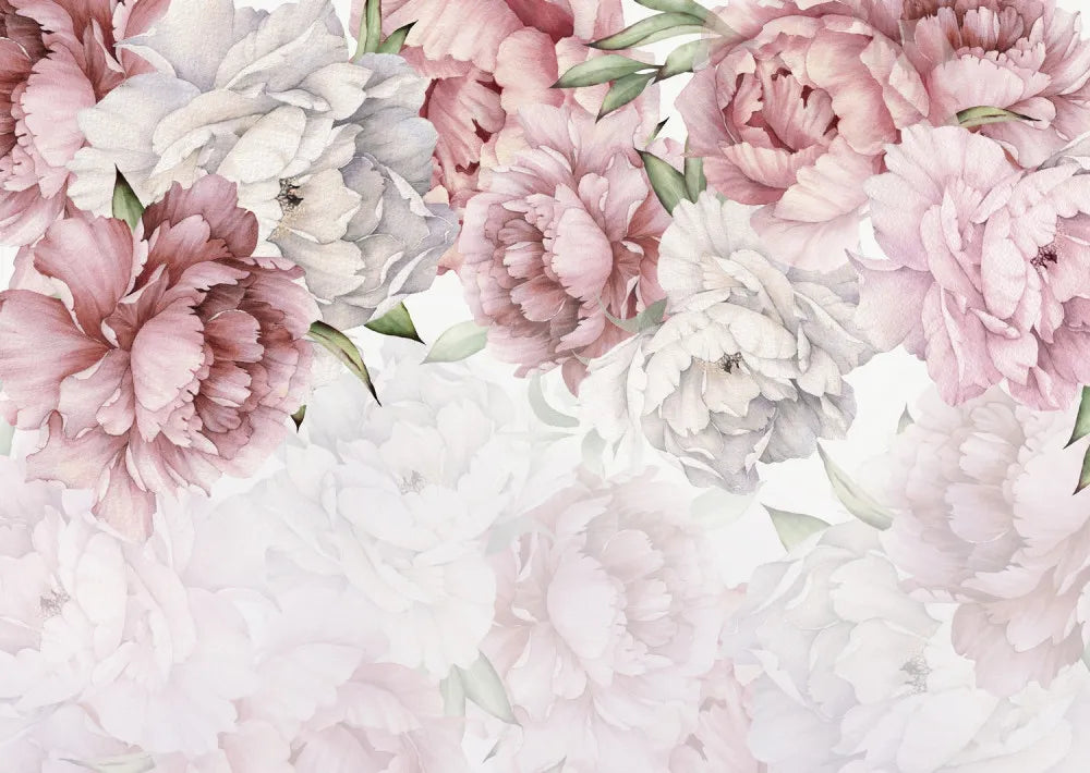 Pink peonies, watercolor