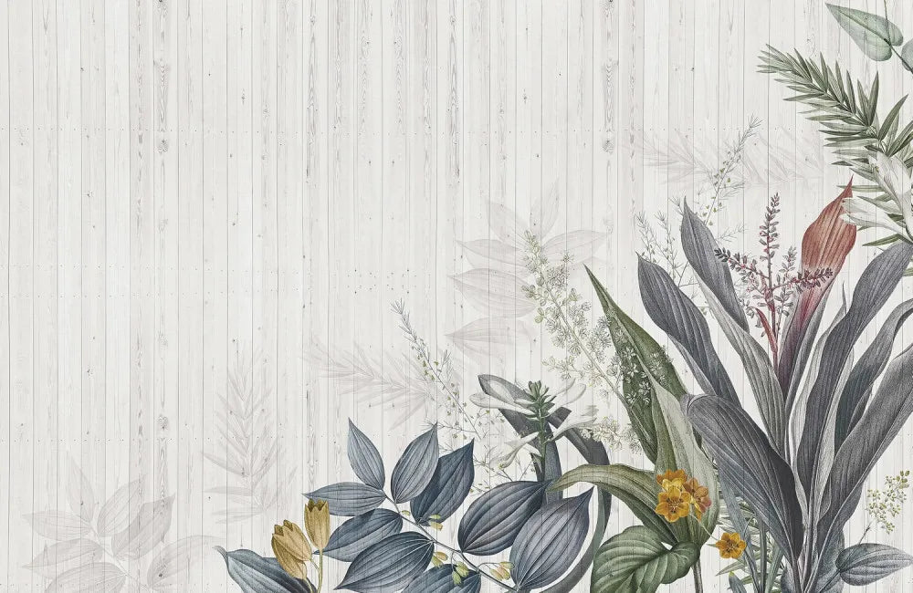 Delicate plants