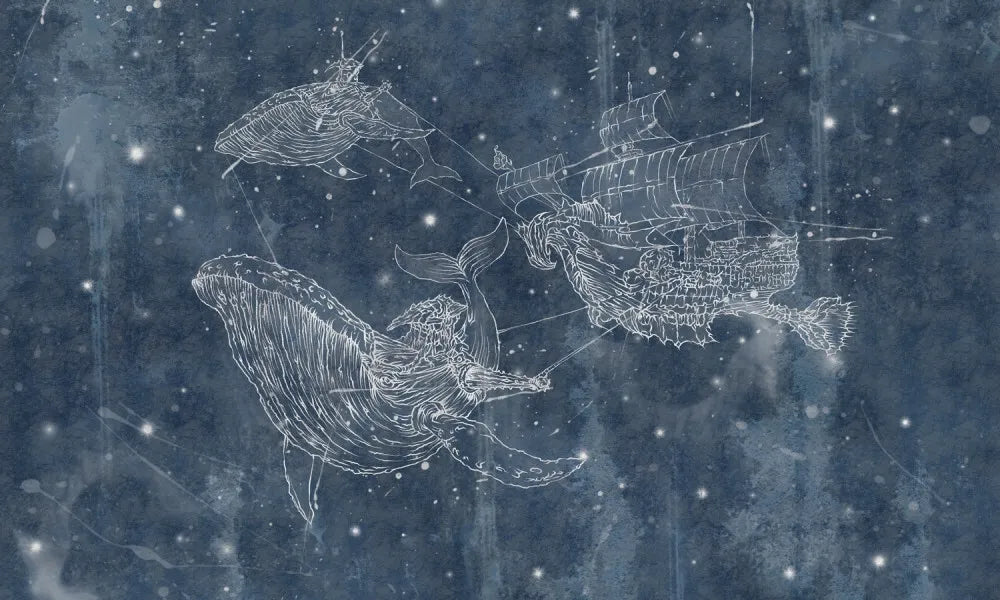 Whale constellation