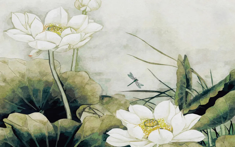 White lotus flowers