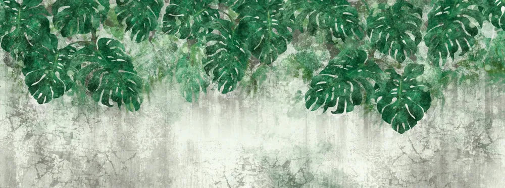 Monstera foliage